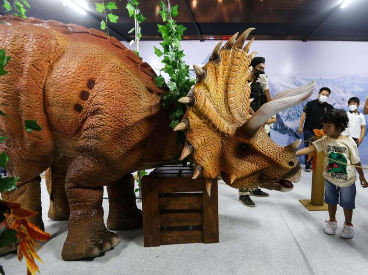 Intip Petualangan Seru Anak-anak di Dino Xscape