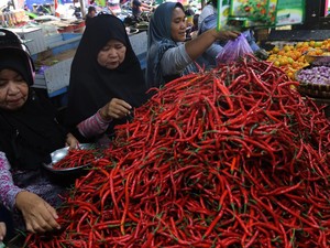 Kementan Klaim Stok Cabai Aman Akhir Tahun, Ini Sebabnya