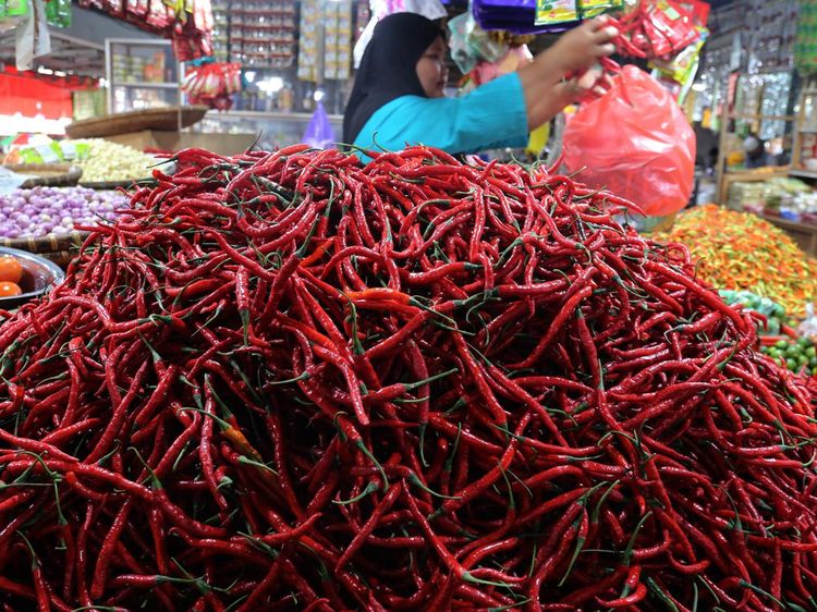 Jelang Nataru, Harga Cabai Merah di Ternate Merangkak Naik
