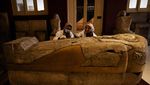 Melihat Koleksi Museum Mesir di Kairo