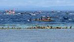 Meriahnya Puncak Hari Nusantara di Wakatobi