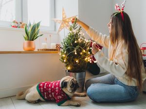 50 Ucapan Selamat Natal Bahasa Indonesia dan Bahasa Inggris, Cek di Sini!