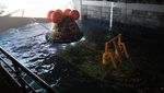 Potret Detik-detik Kapsul Orion Splashdown di Bumi, Usai Jalan-jalan dari Bulan