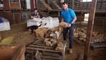 Paleontologi Australia Temukan Fosil Reptil Laut Berusia 100 Juta Tahun