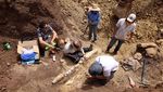 Paleontologi Australia Temukan Fosil Reptil Laut Berusia 100 Juta Tahun
