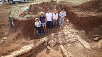 Ahli paleontologi Jaringan Museum Queensland trlihat di pusat penggalian fosil reptil laut di Mckinlay, Queensland, Australia. (Reuters/Queensland Museum)