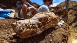Paleontologi Australia Temukan Fosil Reptil Laut Berusia 100 Juta Tahun
