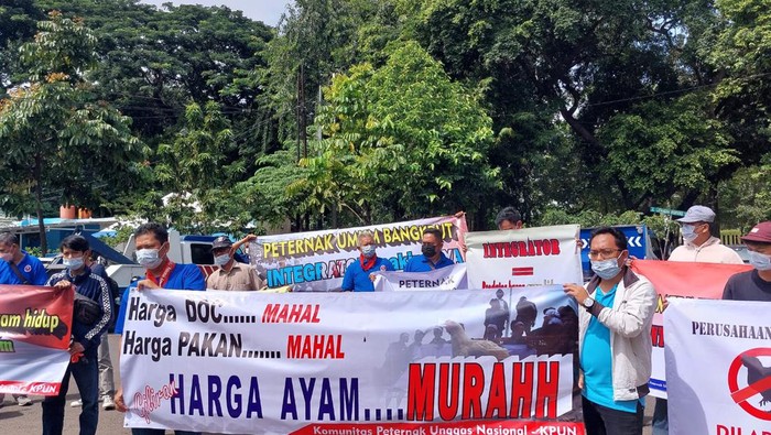 Peternak Unggas Demo di Depan Kemenko Perekonomian, Ini Tuntutannya Peternak Unggas Demo di Depan Kemenko Perekonomian, Ini Tuntutannya