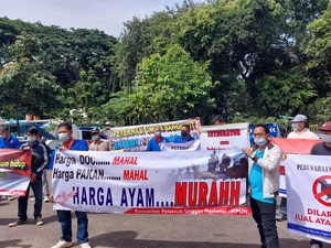Peternak Unggas Demo di Depan Kemenko Perekonomian, Ini Tuntutannya
