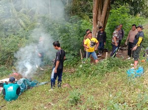 Polisi Temukan 8 Hektare Ladang Ganja di Madina