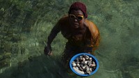 Pemerintah setempat mencatat jumlah populasi masyarakat Suku Bajo yang mendiami wilayah pesisir Kabupaten Wakatobi merupakan yang terbesar diwilayah pesisir Indonesia sekitar 20 ribu jiwa.