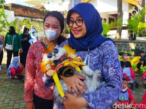 Aksi Menggemaskan Puluhan Kucing Ikut Fashion Show