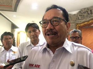 Wagub Bali Imbau Warga Tak Percaya Hoax-Panik Pascagempa di Karangasem