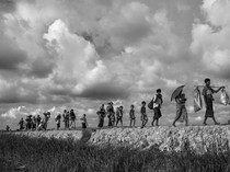 Pemkab Sleman ke Konawe Selatan Urus Penyerobotan Lahan Transmigran