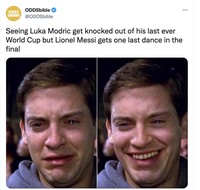 Meme Modric