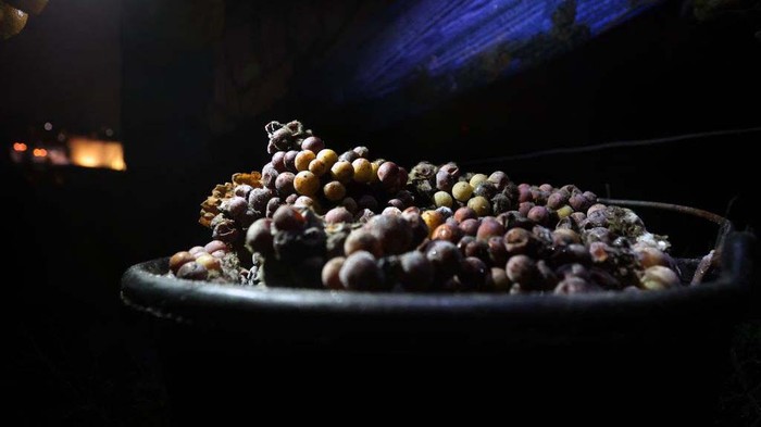 13 December 2022, Bavaria, Würzburg: Harvesters work early in the morning, at temperatures of minus eleven degrees Celsius, behind a container of frozen grapes of the Silvaner variety. Photo: Karl-Josef Hildenbrand/dpa (Photo by Karl-Josef Hildenbrand/picture alliance via Getty Images)