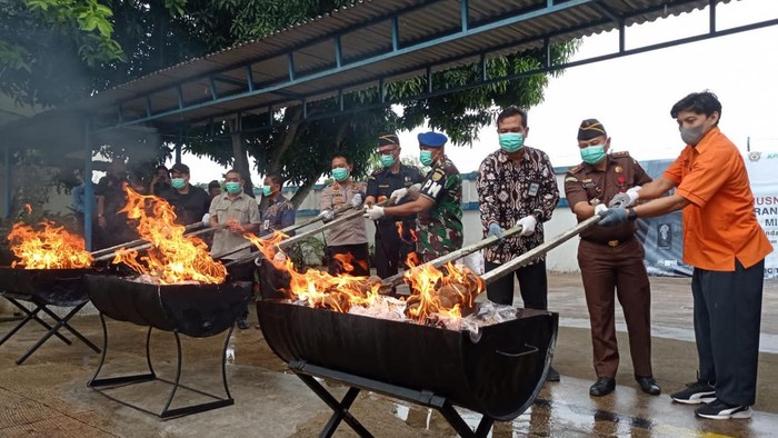 Pemusnahan hasil tangkapan Bea Cukai Jambi  (Ferdi Almunanda/detikSumut)