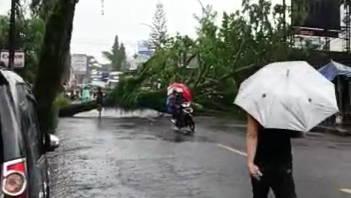 Pohon tumbang di Tasikmalaya.