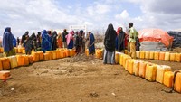 Kekeringan dua tahun terakhir telah memusnahkan tanaman dan ternak di seluruh negara Tanduk Afrika ini, sementara harga makanan impor melonjak karena perang di Ukraina. AP/Mohamed Sheikh Nor  