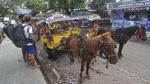 Kisruh KUHP Baru, Begini Potret Wisata Gili Trawangan Jelang Akhir Tahun