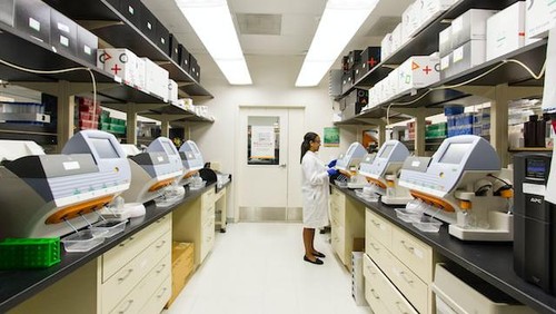 Jurusan teknik biomedis.