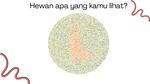 Tes Buta Warna, Bisa Tebak Semua Gambar Hewan Ini?