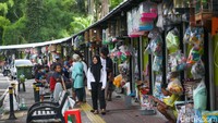 Sebanyak 85 kios pedagang hewan dan kebutuhan hewan peliharaan di Pasar Barito sudah dibuka kembali. 