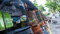 Pasar Hewan Barito kini tampak lebih tertata. 