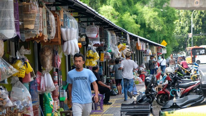 Pasar hewan Barito, Jakarta Selatan, telah rampung direvitalisasi. Sebanyak 85 kios pedagang sudah kembali terisi.