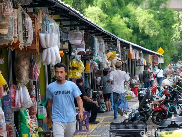 Wajah Terkini Pasar Hewan Barito Usai Revitalisasi