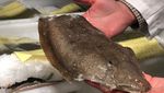 Begini Kesibukan Pabrik Seafood Segar Ramah Lingkungan Terbesar di Dunia