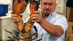 Begini Kesibukan Pabrik Seafood Segar Ramah Lingkungan Terbesar di Dunia
