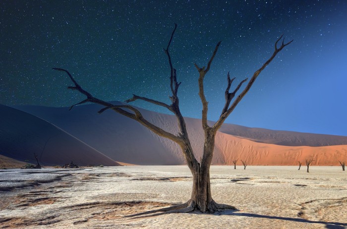 Deadvlei di Gurun Namib, Namibia