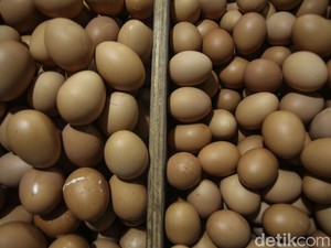 Harga Telur di Karangasem Tembus Rp 50 Ribu Per Tray