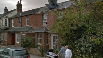 Ada hiu di atap rumah. Foto: Reddit via Boredpanda