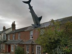 Penampakan Lucu hingga Konyol di Google Street View