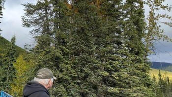 Ketika badan dan kaki terbalik. Foto: Reddit via Boredpanda