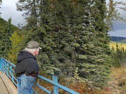 Penampakan Lucu hingga Konyol di Google Street View