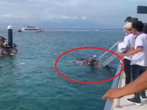 Puluhan Turis Tercebur Akibat Jembatan Dermaga di Nusa Penida Ambruk