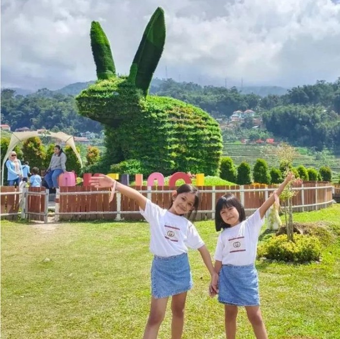 Ini merupakan wisata kebun bunga yang menarik untuk anak-anak hingga orang dewasa. Di sana, Anda bisa menikmati bunga cantik yang bermekaran.