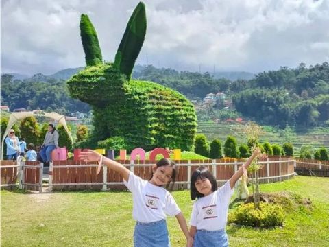 Ini merupakan wisata kebun bunga yang menarik untuk anak-anak hingga orang dewasa. Di sana, Anda bisa menikmati bunga cantik yang bermekaran.