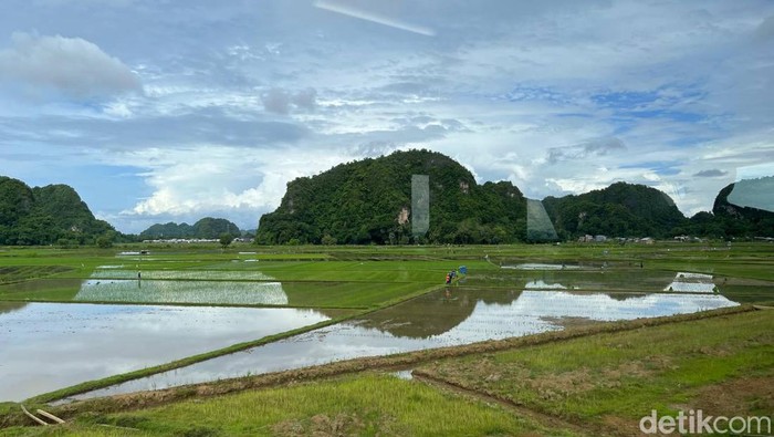 Pemandangan dari Kereta Api Sulsel Pemandangan dari Kereta Api Sulsel