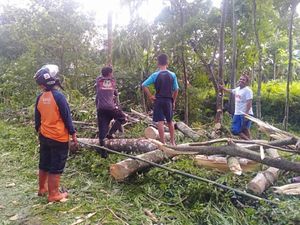 Dua Hari Banyuwangi Dilanda Puting Beliung, BMKG Beri Penjelasan