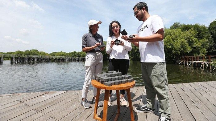 Taman Mangrove Angke Dilapisi Paving Block Hasil Daur Ulang Ratih Maduretno, Operation Manager, Taman Wisata Alam Mangrove Angke Kapuk, Nadya Pertiwi, Country Head, PT Samsonite Indonesia , dan Reza Hasfinanda, Founder PlusTik, memperhatikan paving block hasil daur ulang di Taman Wisata Alam Mangrove Angke Kapuk, Jakarta Utara.
