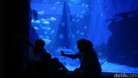 Kampanye konservasi Keep Our Oceans Amazing bertujuan untuk meningkatkan kesadaran dan pemahaman masyarakat tentang tantangan serta isu yang mengancam kelestarian laut. Terdapat tujuh dari 10 spesies laut ditampilkan dalam kampanye Keep Our Oceans Amazing seperti hiu paus, pari manta, penyu sisik, ikan kakatua, mangrove, karang tanduk hingga paus biru.  