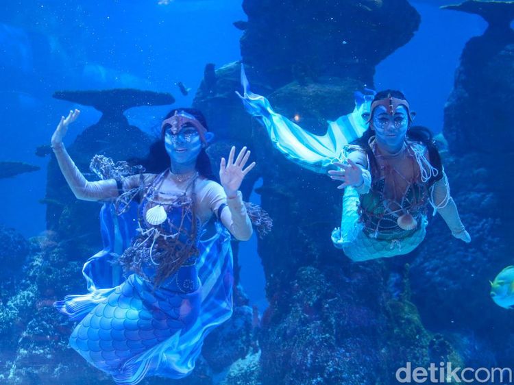 Wow... Ada Putri Duyung Berwajah Avatar di Jakarta Aquarium