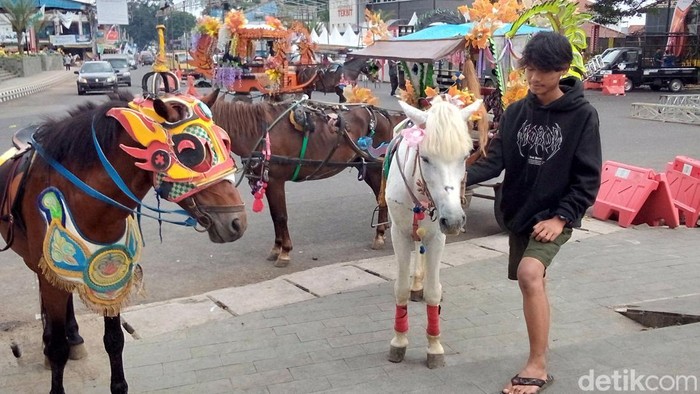 Aktivitas kusir delman di Taman Kota Kabupaten Kuningan
