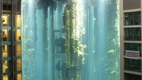 Aquadom adalah akuarium silinder setinggi 25 meter yang terdapat di lobi Hotel Radisson Blu di Berlin, Jerman. Akuarium ini juga dikenal sebagai akuarium berdiri terbesar di dunia. EUTERS/Fabrizio Bensch/File Photo