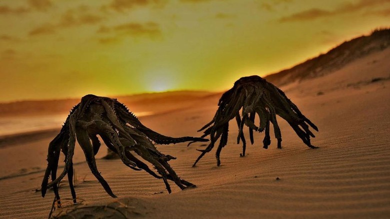 Alien laut di Afrika Selatan Alien laut di Afrika Selatan hebohkan netizen