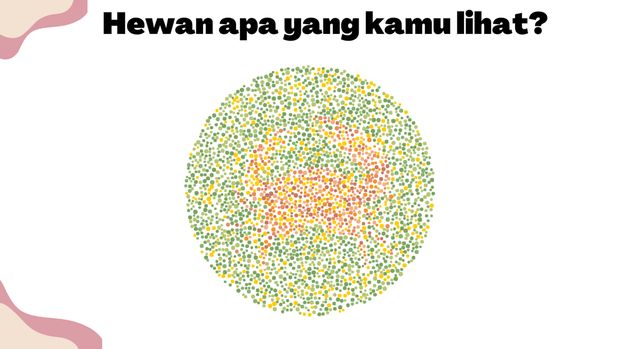 Buktikan Kamu Nggak Buta Warna! Harusnya Sih Bisa 'Sat-set' Jawab 5 Soal Ini
